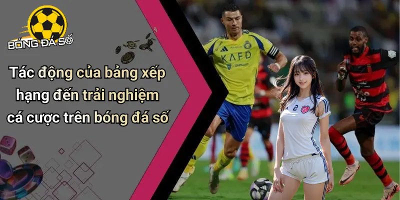 Bảng xếp hạng 4 Bảng Xếp Hạng